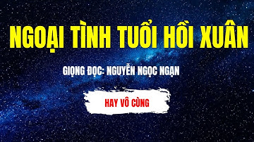 Nghe Kể Chuyện Đêm Khuya | Ngoại Tình Tuổi Hồi Xuân | Audio Nguyễn Ngọc Ngạn