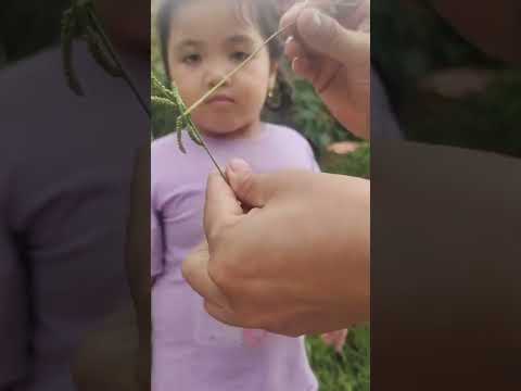 Video #shorts - youtube