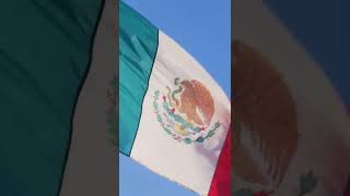 Why Do Mexico&#39;s State Flags Suck? #shorts