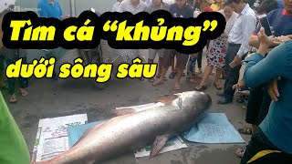 Săn cá hô sông Mekong: Tìm cá 