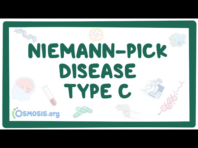 Patient with Niemann-Pick disease type C: over 20 years' follow-up