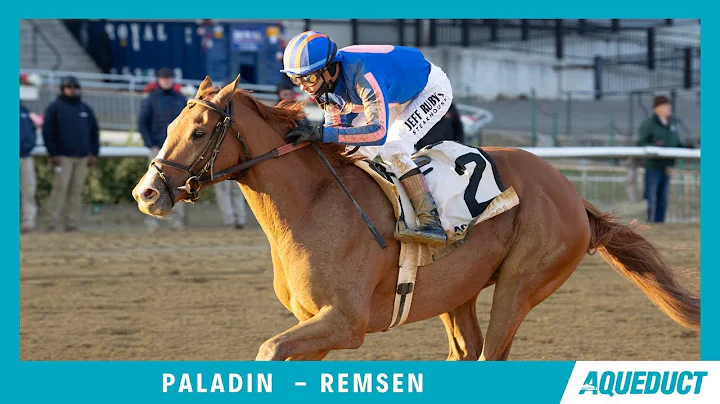 Paladin - 2025 - Remsen