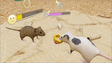 Mouse Simulator: Funny Sim  - Android GamePlay 3D