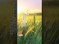 【24節氣】小滿 #星雲大師 #人間佛教 #24節氣 #小滿 #shorts