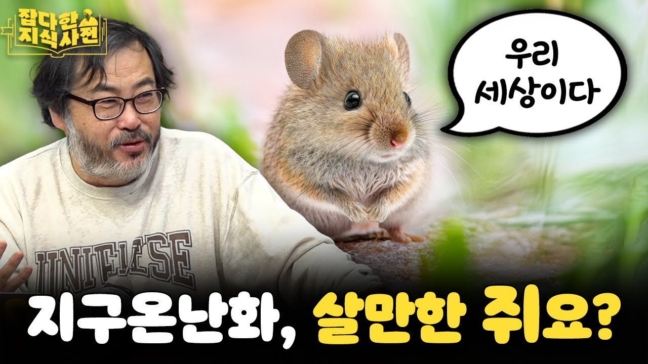 쥐구멍에 볕 들기 시작한 세계 대도시 상황 🐀 쥐에 대한 궁금증을 풀어보자