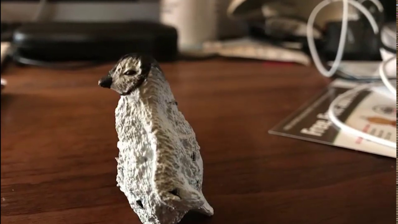 Watch Penguin And Alien on YouTube Watch Penguin And Alien on YouTube