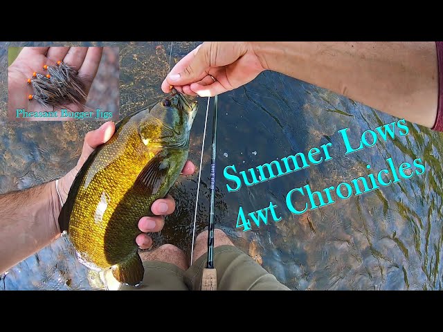 Fly Fishing: 4wt Chronicles, EP 1- Breaking in the New 4 wt, and Practicing  the Strip Set. 