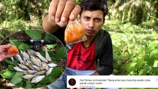 Making Fishing Bait for Wader and Nilem in Muddy Water 100% Effective