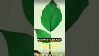 #documental #litio #short #energialimpia #interesante  #medioambiente #extractivismo #contaminacion
