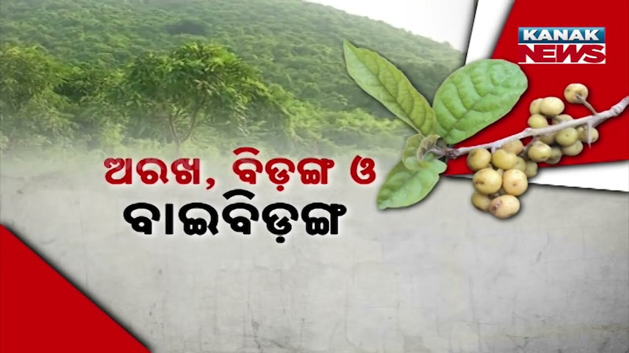 41 Medicinal Plants On The Brink Of Extinction | Nature’s Pharmacy In Danger