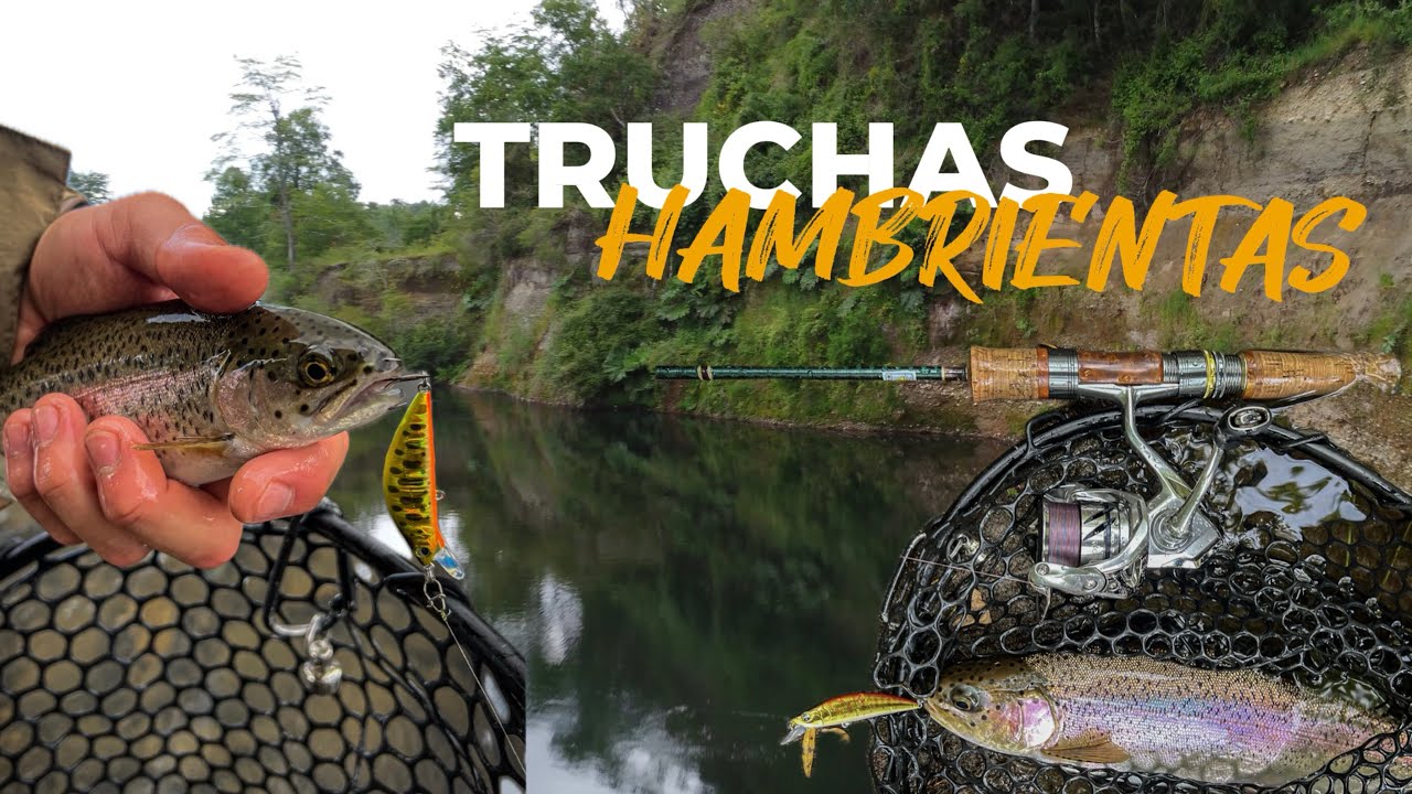 TRUCHAS ARCOÍRIS HAMBRIENTAS - ESTE SPOT NO DECEPCIONA - REGION DE LOS RIOS #fishingvideo #fishing