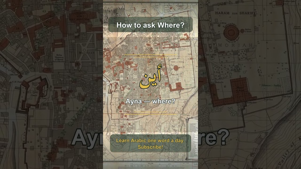 How to ask Where? | Arabic: أَيْنَ (Ayna) #shorts