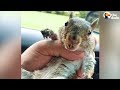 Rescue Squirrel Changes Man's Life | The Dodo