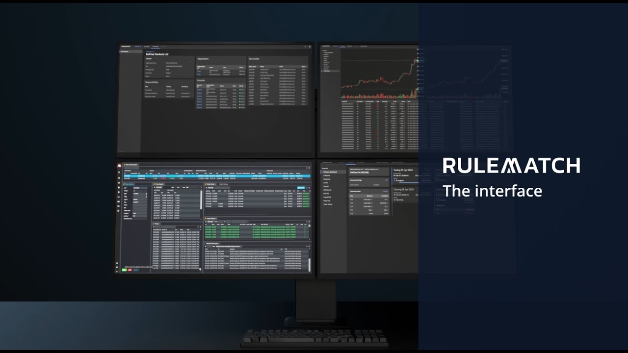 RULEMATCH - The interface