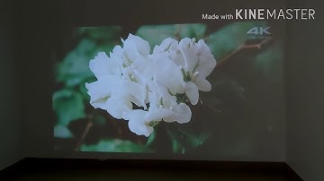 Aun m18up projector only supports 4k video not play 4k,play upto 1080p