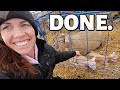 We've got good news, and we've got bad  (THE END OF LAMBING 2020 *RESULTS) Vlog 402