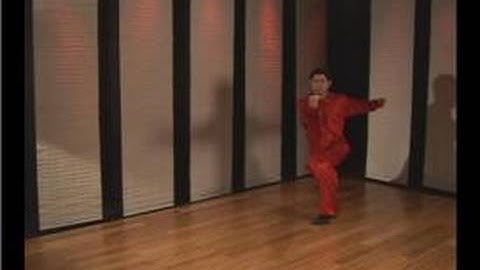 Kung Fu : Tan Tui Demo