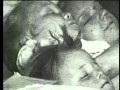 1913 massacre film to run