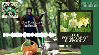 87: The Folklore of Daffodils | The Bell Witch Podcast: Wholesome Witchcraft for Magical Folks
