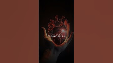 سلم عليكم لا نبتغي الجهلين📖#قران_كريم #تلاوة_خاشعة #راحة_نفسية #متابعه #لايك #اكسبلور