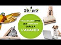 Tout savoir sur lacaced et faire un mtier avec les animaux 