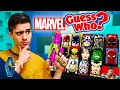 NERF Superhero Guess Who Challenge!