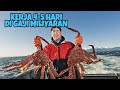 ALASAN KENAPA KEPITING ALASKA DIHARGAI SANGAT MAHAL