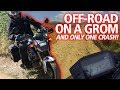 Off-road on the MSX125  | Testing and crashing my Honda Africa Grom review