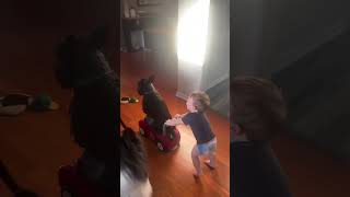 Toddles Pushes Scootie Dog around in Toy Car