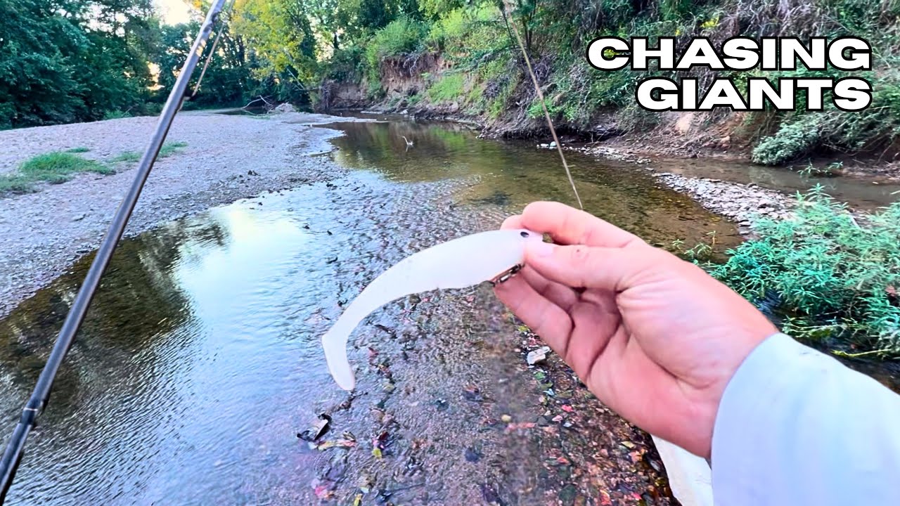 I Caught The Creek Monster AGAIN?! — PART 2 (Chasing Giants)