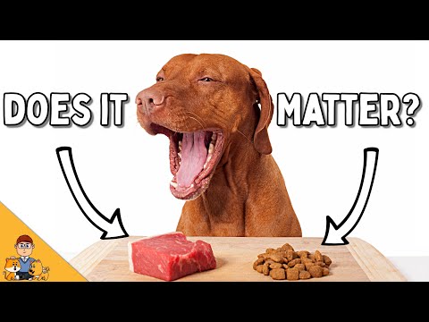 Video: Sudafed-ul ar răni un câine?