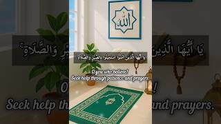 Suratul Baqarah - سورة البقرة - Surah al Baqarah - Beautiful Qur'an Recitation #arridowylecturestv
