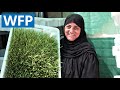This woman is greening the desert in Jordan | WFP