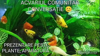 Acvariul comunitar. Discuții. Prezentare pești, plante, aparatură 😊