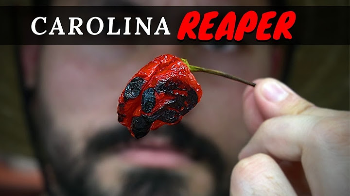 El chile más picante del Mundo | La Capital