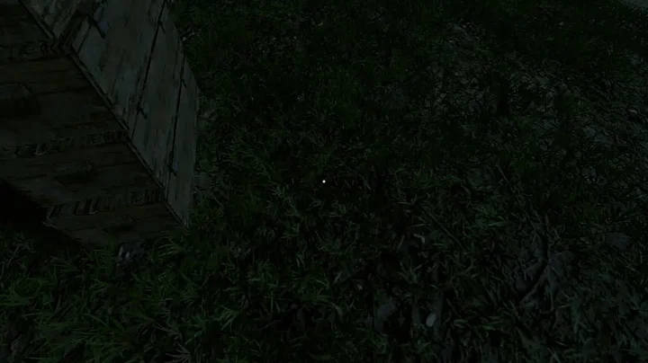 Solo survival