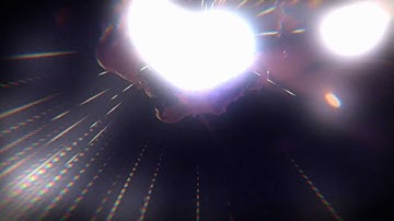 Cycliophora - Excess