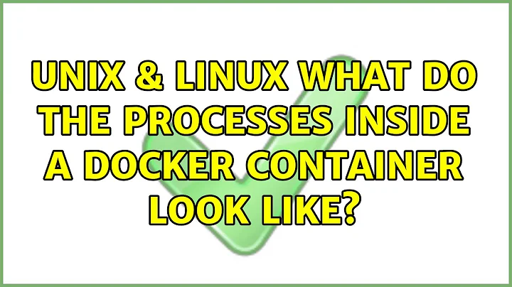 Unix & Linux: What do the processes inside a Docker container look like? (2 Solutions!!)