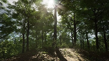 Trees Vol. 1 - Cinematic Demo - Unreal Engine 4 (4K)