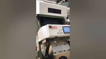 Peanuts sorting by MARK SORTER, Coimbatore Tamilnadu