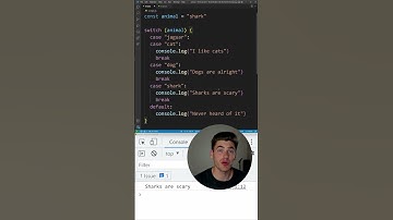 Learn Switch Statements In 1 Minute