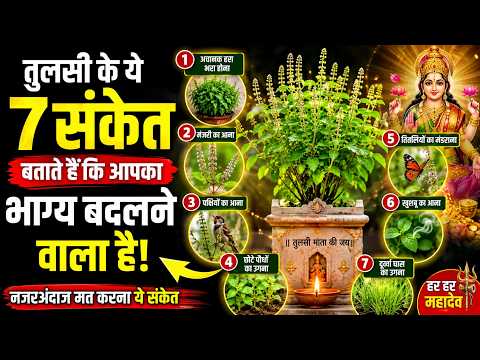तुलसी के ये 7 संकेत बताते हैं कि आपका भाग्य बदलने वाला है | Vastu Tips | Tulsi Ke Shubh Sanket