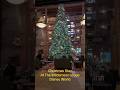 #Christmas at #WildernessLodge ##Disneyworld #DVC #Coppercreek