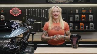 Harley-Davidson Screamin' Eagle Vortex Extreme Air Cleaner - Genuine Harley-Davidson Parts