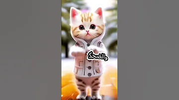 سالي يا قمر اغنيه باسم سالي 