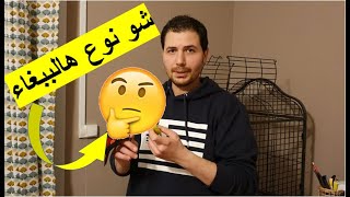 شو نوع هالببغاء ?|| وليش يطلق عليه اسم دمغة النسر - شوف الفيديو