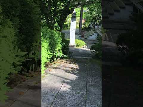Discovering Serenity in Temples - YouTube
