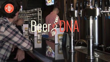 MetaCraft Explainer Video