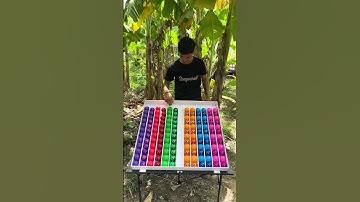 “No Mistakes Allowed! Ball Sort Challenge”