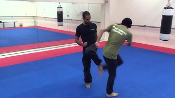 Systema Kicking Drill